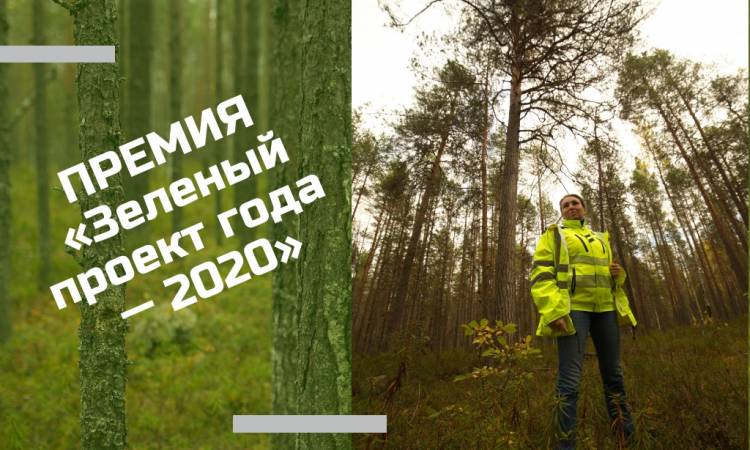 Новости членов Совета: FSC России запускает премию «Зеленый проект года — 2020»