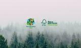 Новости членов Совета: Лесной попечительский Совет FSC объявил тему FSC-пятницы 2020