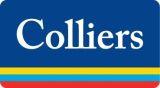 Новости членов Совета: Компания Colliers прогнозирует рост мировых инвестиций на 50% в 2021 году